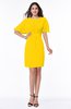 Modest Sheath Zip up Chiffon Short Plus Size Bridesmaid Dresses
