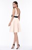 Elegant A-line Thick Straps Sleeveless Mini Plus Size Bridesmaid Dresses
