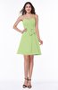 Elegant A-line Strapless Sleeveless Chiffon Mini Plus Size Bridesmaid Dresses