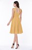 Elegant Thick Straps Zip up Knee Length Flower Plus Size Bridesmaid Dresses
