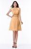 Classic A-line Sleeveless Zipper Chiffon Ribbon Plus Size Bridesmaid Dresses