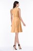 Classic A-line Sleeveless Zipper Chiffon Ribbon Plus Size Bridesmaid Dresses