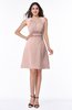 Classic A-line Sleeveless Zipper Chiffon Ribbon Plus Size Bridesmaid Dresses