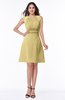 Classic A-line Sleeveless Zipper Chiffon Ribbon Plus Size Bridesmaid Dresses