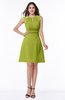 Classic A-line Sleeveless Zipper Chiffon Ribbon Plus Size Bridesmaid Dresses