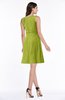Classic A-line Sleeveless Zipper Chiffon Ribbon Plus Size Bridesmaid Dresses