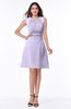 Classic A-line Sleeveless Zipper Chiffon Ribbon Plus Size Bridesmaid Dresses