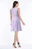 Classic A-line Sleeveless Zipper Chiffon Ribbon Plus Size Bridesmaid Dresses