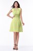 Classic A-line Sleeveless Zipper Chiffon Ribbon Plus Size Bridesmaid Dresses