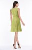 Classic A-line Sleeveless Zipper Chiffon Ribbon Plus Size Bridesmaid Dresses