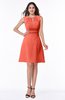 Classic A-line Sleeveless Zipper Chiffon Ribbon Plus Size Bridesmaid Dresses