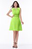 Classic A-line Sleeveless Zipper Chiffon Ribbon Plus Size Bridesmaid Dresses