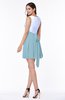 Casual A-line Sleeveless Zip up Pleated Plus Size Bridesmaid Dresses
