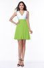 Casual A-line Sleeveless Zip up Pleated Plus Size Bridesmaid Dresses