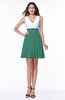 Casual A-line Sleeveless Zip up Pleated Plus Size Bridesmaid Dresses