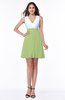 Casual A-line Sleeveless Zip up Pleated Plus Size Bridesmaid Dresses