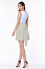 Casual A-line Sleeveless Zip up Pleated Plus Size Bridesmaid Dresses