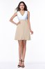 Casual A-line Sleeveless Zip up Pleated Plus Size Bridesmaid Dresses
