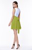 Casual A-line Sleeveless Zip up Pleated Plus Size Bridesmaid Dresses