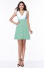 Casual A-line Sleeveless Zip up Pleated Plus Size Bridesmaid Dresses