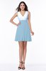 Casual A-line Sleeveless Zip up Pleated Plus Size Bridesmaid Dresses