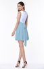 Casual A-line Sleeveless Zip up Pleated Plus Size Bridesmaid Dresses
