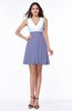 Casual A-line Sleeveless Zip up Pleated Plus Size Bridesmaid Dresses