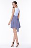 Casual A-line Sleeveless Zip up Pleated Plus Size Bridesmaid Dresses