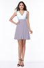 Casual A-line Sleeveless Zip up Pleated Plus Size Bridesmaid Dresses