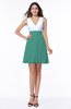 Casual A-line Sleeveless Zip up Pleated Plus Size Bridesmaid Dresses