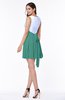 Casual A-line Sleeveless Zip up Pleated Plus Size Bridesmaid Dresses