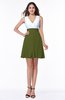 Casual A-line Sleeveless Zip up Pleated Plus Size Bridesmaid Dresses