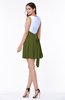 Casual A-line Sleeveless Zip up Pleated Plus Size Bridesmaid Dresses