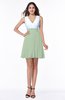 Casual A-line Sleeveless Zip up Pleated Plus Size Bridesmaid Dresses