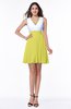 Casual A-line Sleeveless Zip up Pleated Plus Size Bridesmaid Dresses