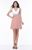 Casual A-line Sleeveless Zip up Pleated Plus Size Bridesmaid Dresses