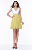 Casual A-line Sleeveless Zip up Pleated Plus Size Bridesmaid Dresses