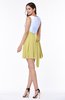 Casual A-line Sleeveless Zip up Pleated Plus Size Bridesmaid Dresses