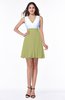 Casual A-line Sleeveless Zip up Pleated Plus Size Bridesmaid Dresses