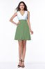 Casual A-line Sleeveless Zip up Pleated Plus Size Bridesmaid Dresses