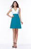 Casual A-line Sleeveless Zip up Pleated Plus Size Bridesmaid Dresses