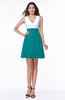 Casual A-line Sleeveless Zip up Pleated Plus Size Bridesmaid Dresses