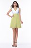 Casual A-line Sleeveless Zip up Pleated Plus Size Bridesmaid Dresses