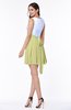 Casual A-line Sleeveless Zip up Pleated Plus Size Bridesmaid Dresses