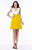 Casual A-line Sleeveless Zip up Pleated Plus Size Bridesmaid Dresses