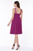 Modern Thick Straps Sleeveless Chiffon Knee Length Ruching Plus Size Bridesmaid Dresses