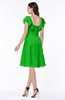 Simple A-line Sleeveless Zip up Sash Plus Size Bridesmaid Dresses