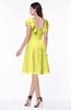 Simple A-line Sleeveless Zip up Sash Plus Size Bridesmaid Dresses