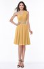 Modern Sleeveless Half Backless Chiffon Knee Length Pleated Plus Size Bridesmaid Dresses
