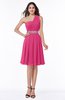 Modern Sleeveless Half Backless Chiffon Knee Length Pleated Plus Size Bridesmaid Dresses